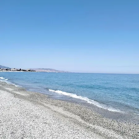 & Blue